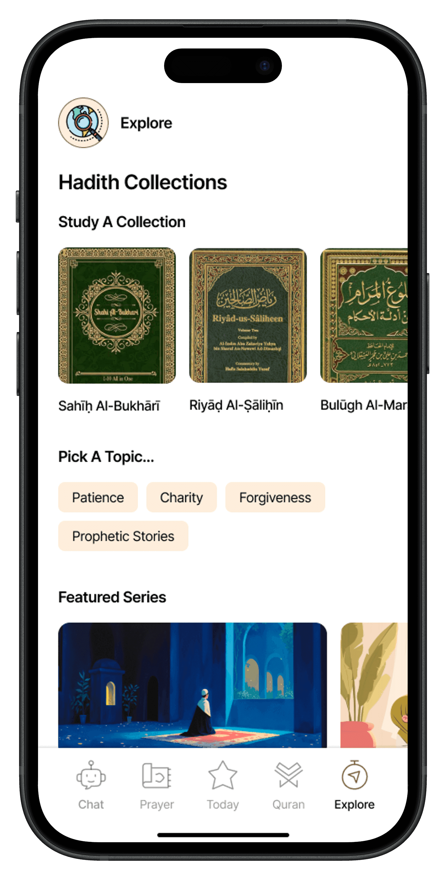 Primary reading interface with high-quality Arabic typography